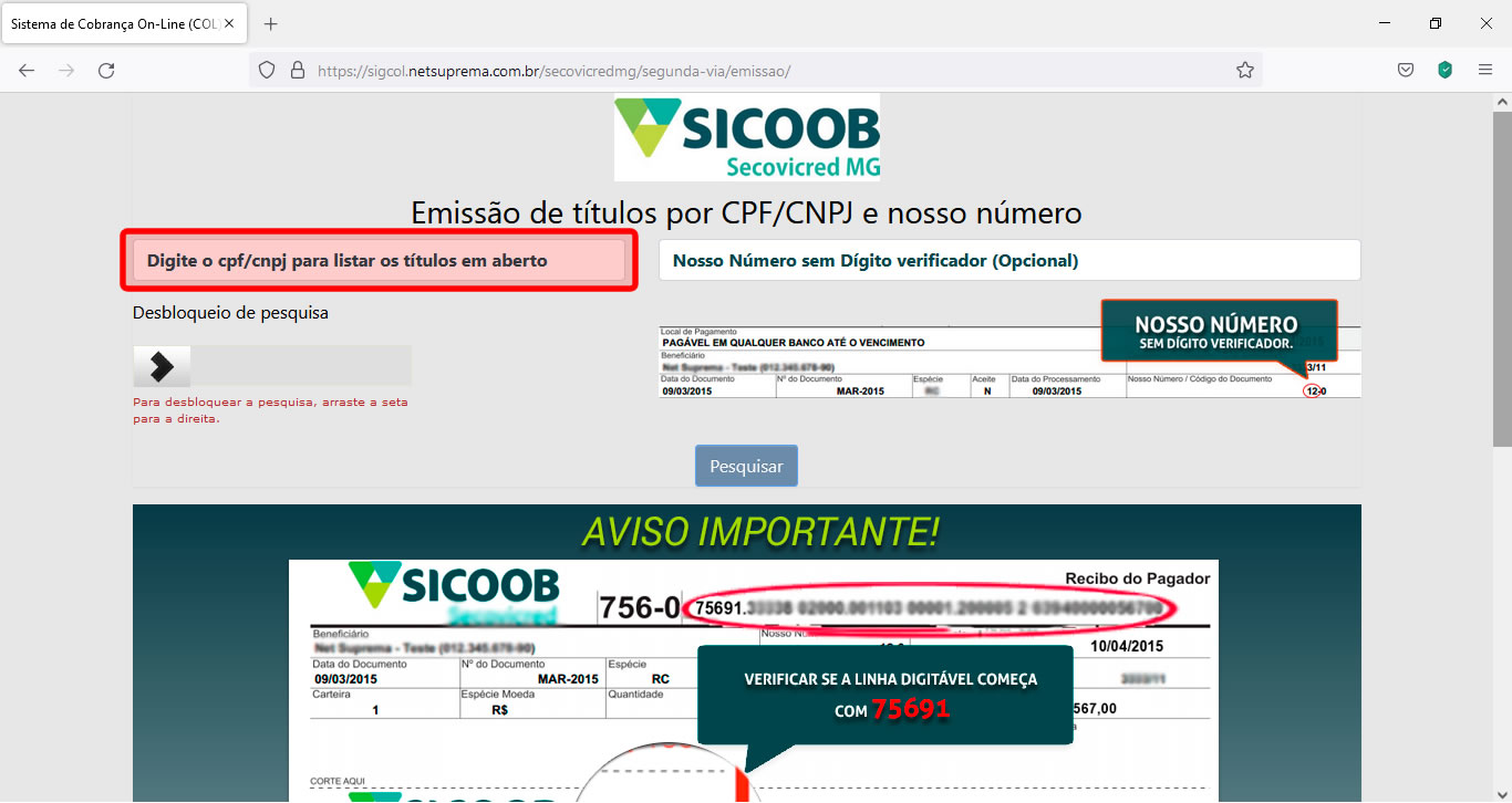 Tela para informar CPF ou CNPJ